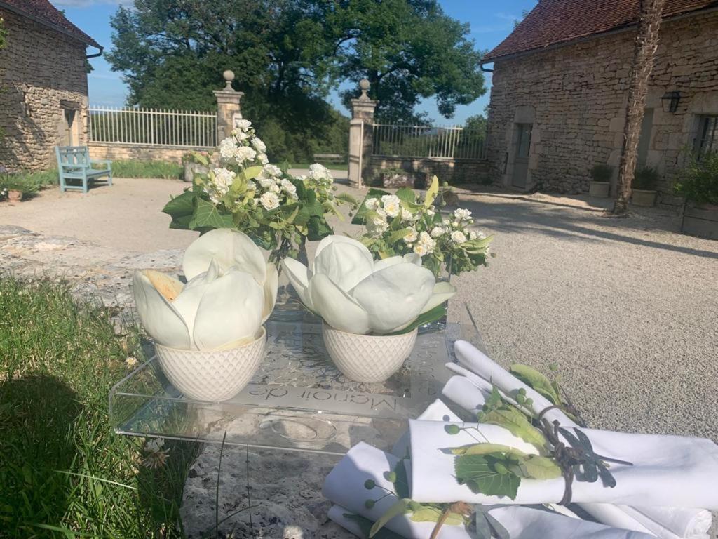 Manoir De Malagorse Cuzance Dış mekan fotoğraf